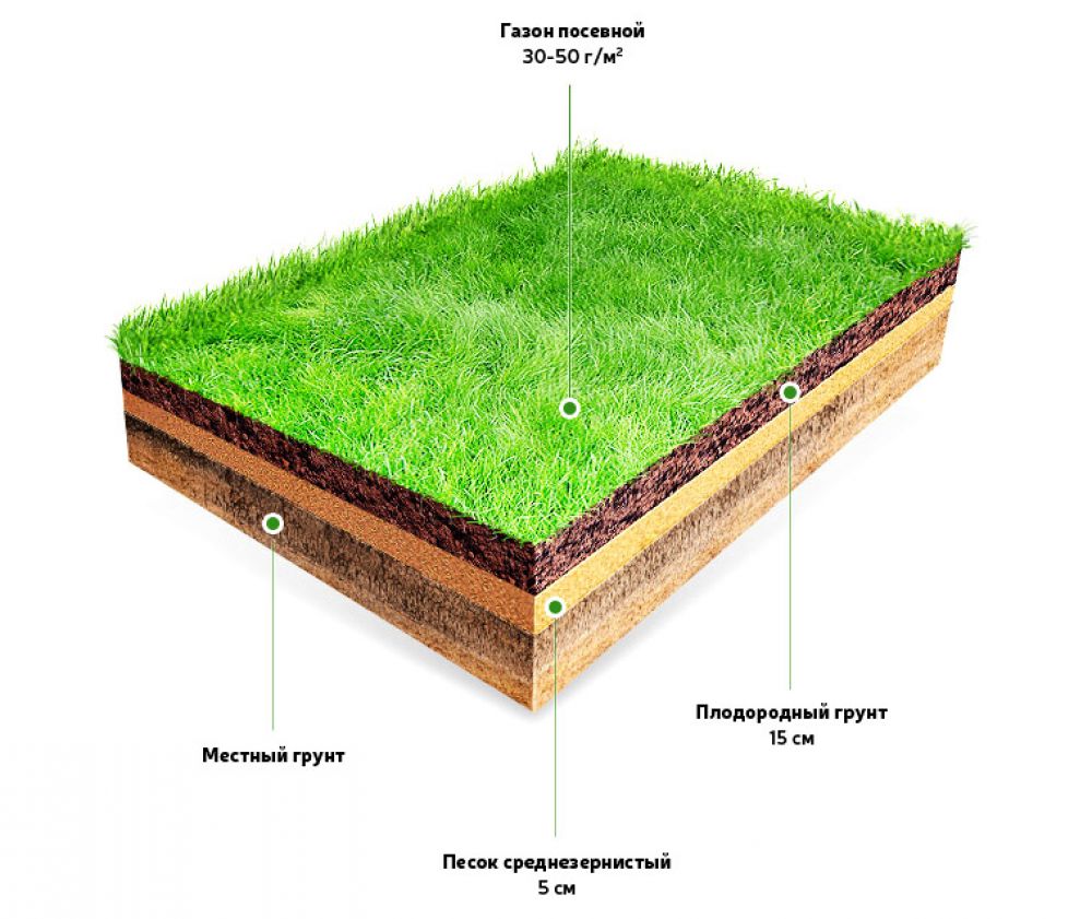 Схема устройства газона посевного