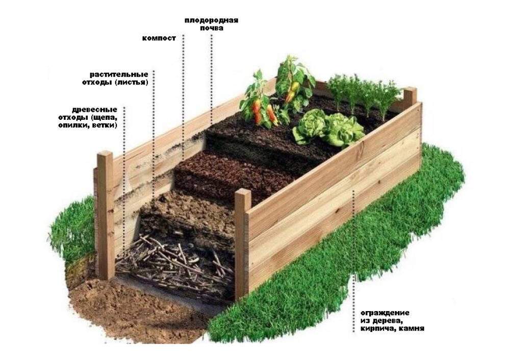 Высокие грядки схема
